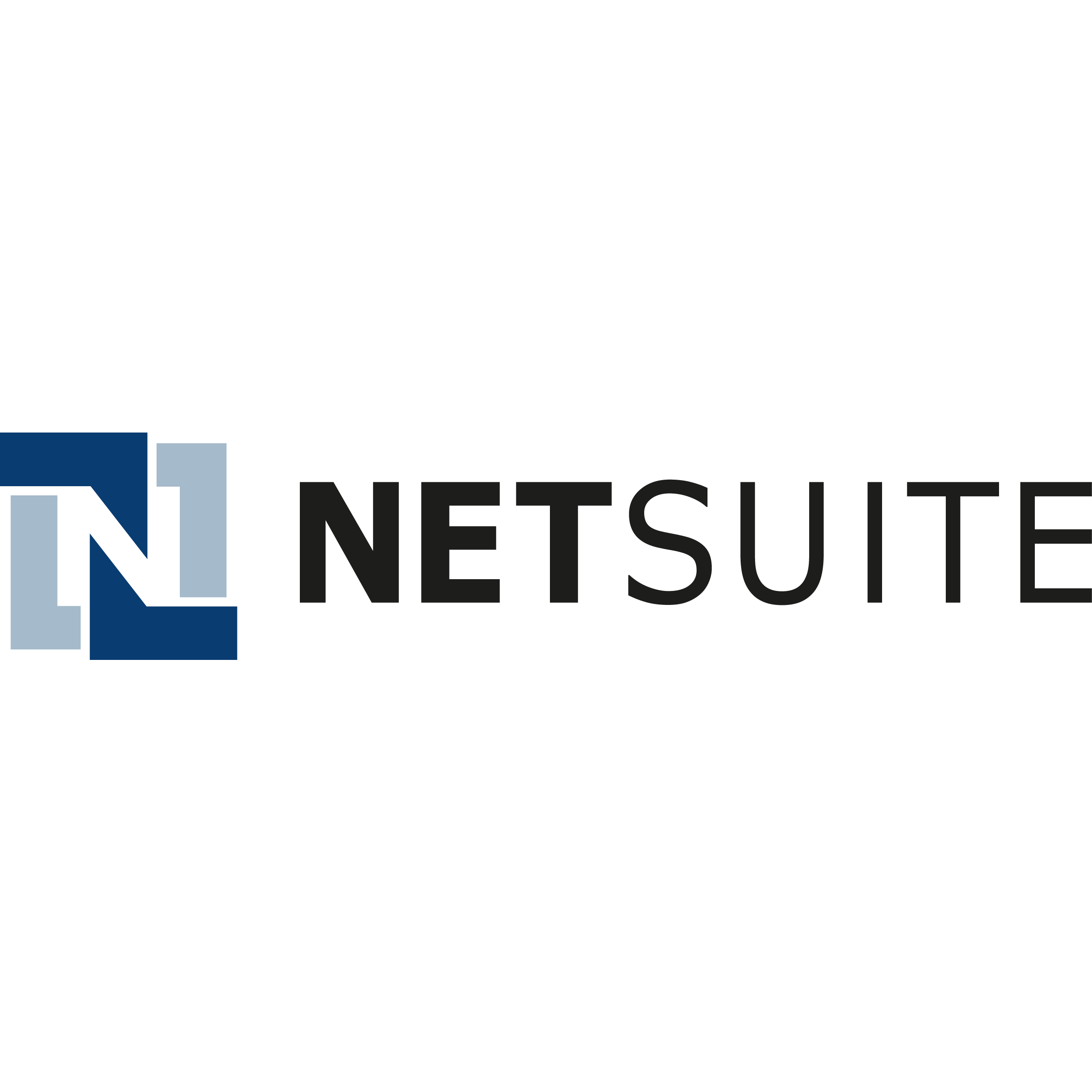 Erp Implementation Netsuite